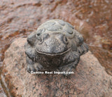 Concrete Cement frog With River Rocks Garden Decor
