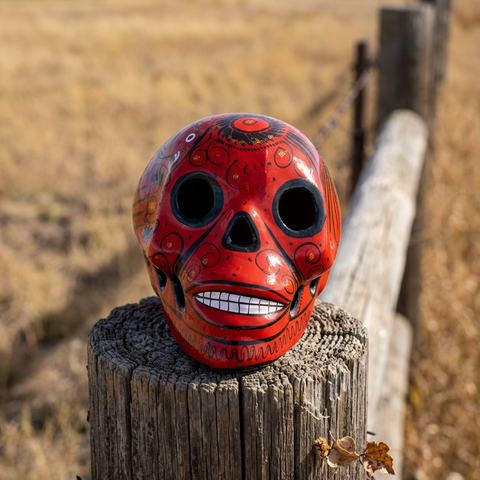 Day Of The Dead Hand Painted Skull MCS008