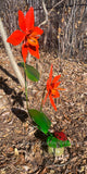 Metal Flowers Yard Or Garden Decor MRFB024