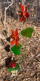 Metal Flowers Yard Or Garden Decor MRFB024