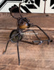 Worker Metal Ants    WMA