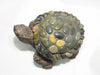 Concrete Cement Turtle With River Rocks Garden Decor Medium