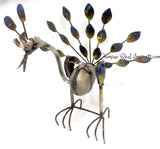 Rocking Peacock 