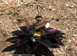 Yard Art Metal Flower on Spring with Music Ant 15"  MFSMA005