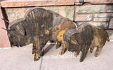 Metal Buffalo Yard Decor Sculpture MTBFS001